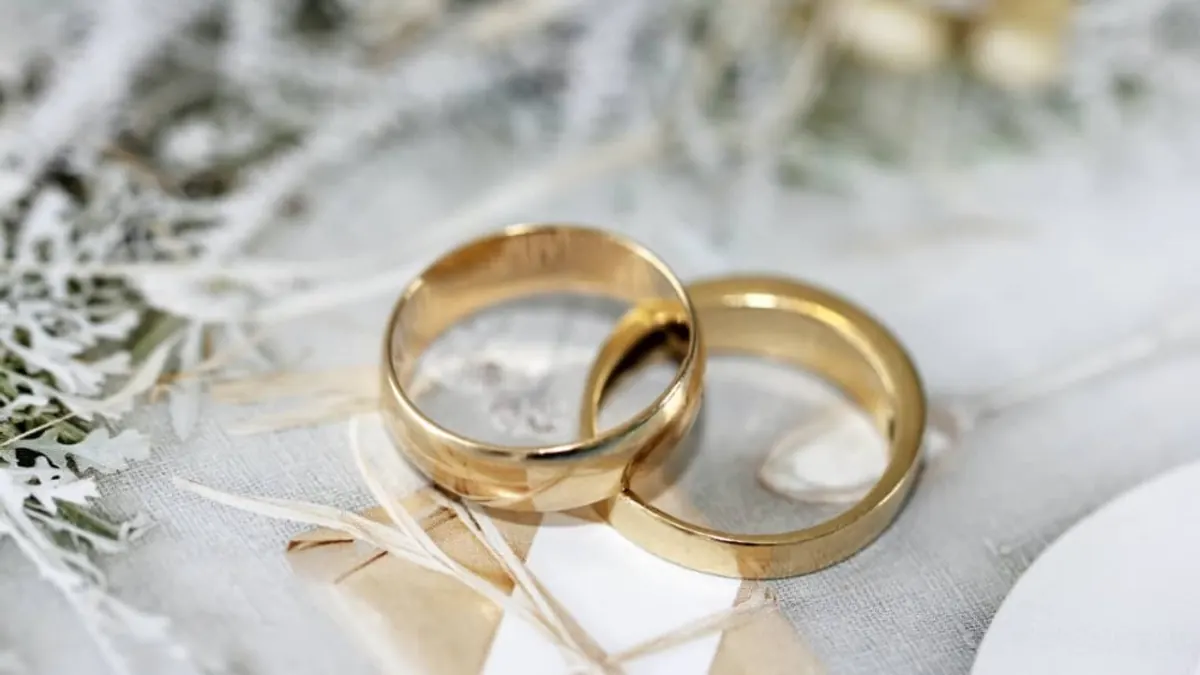 ACCIDENTAL SPOUSE – 20– YOUR TREE CAN’T MAKE A FOREST