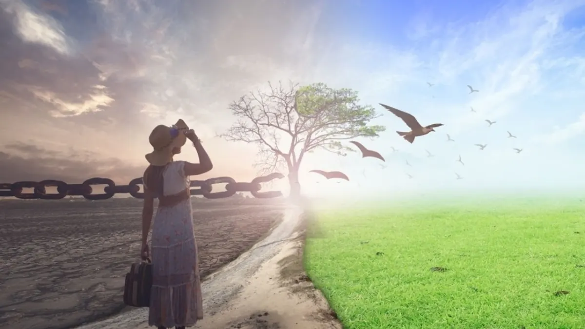 From Transfiguration to Transformation